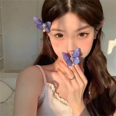 飞贼白菊花